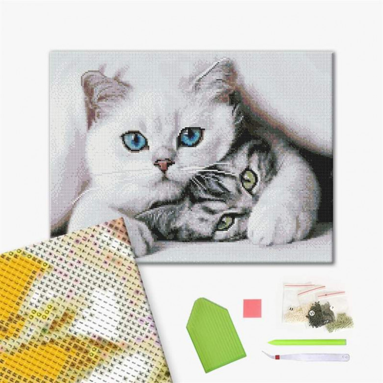 Нахабний котик