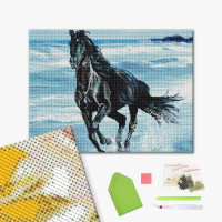 Чорний скакун Чорний скакун