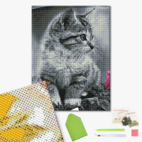 Кошеня Кошеня