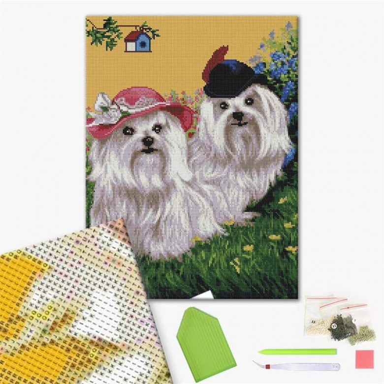 Милі болонки