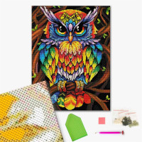 Веселкова мудра сова