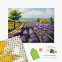 Лавандові поля Лавандові поля