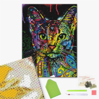 Барвистий кіт