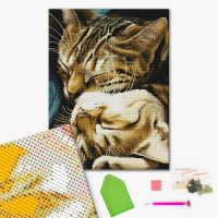 Сплячі котики