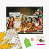 Кіт на книжковій полиці