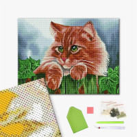 Зеленоокий кіт