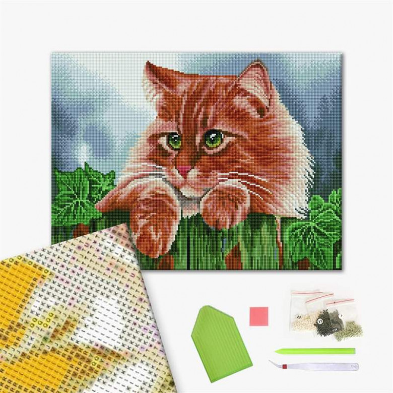 Зеленоокий кіт