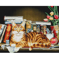Кіт на книжковій полиці