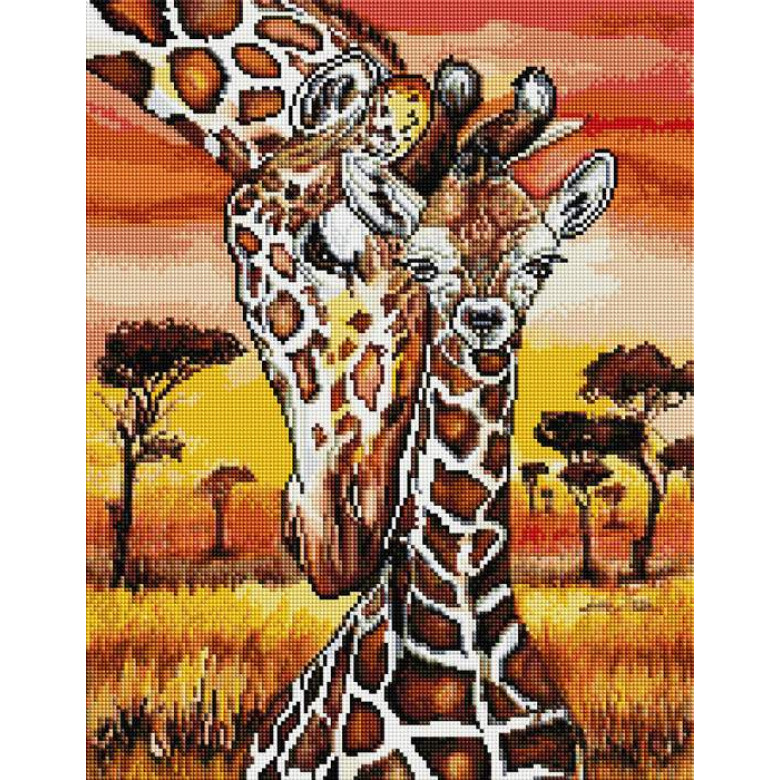 Жирафи в саванні