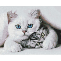 Нахабний котик