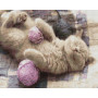 Кошенятко з клубочком