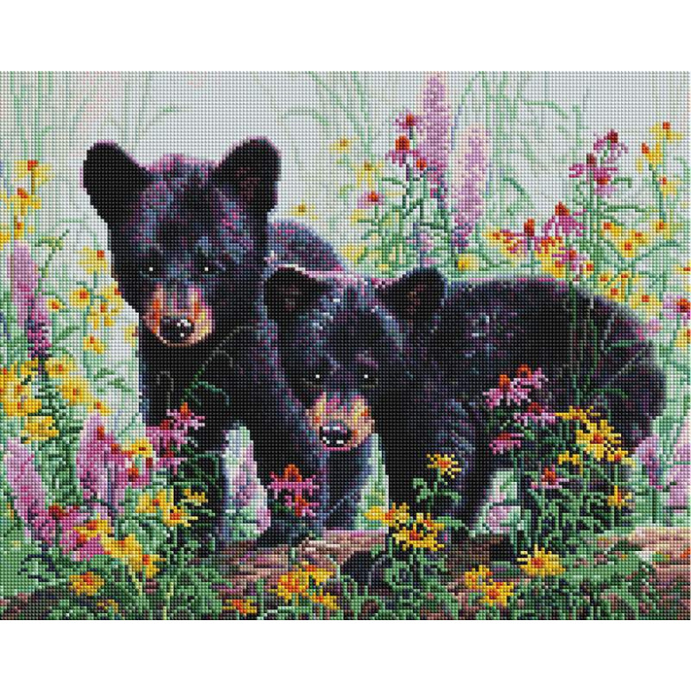 Ведмежата у квітах