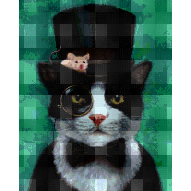 Котик джентельмен ©Lucia Heffernan