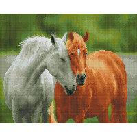 Вірність скакунів