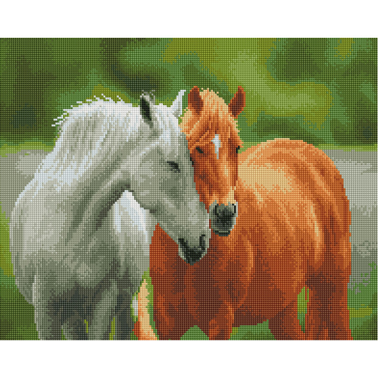 Вірність скакунів