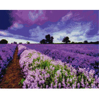Lavender field