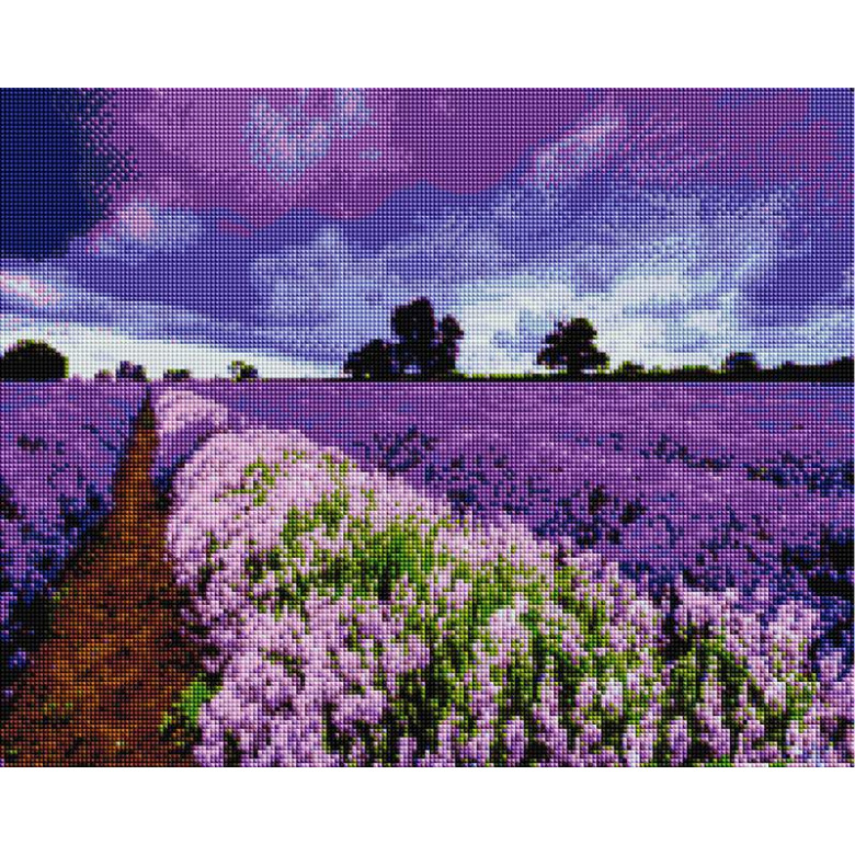 Lavender field
