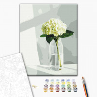 Гортензія Гортензія