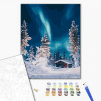 Полярне сяйво в лісі