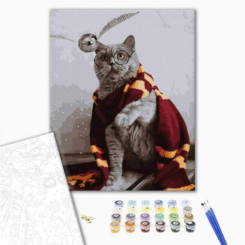 Котик ловець снітчу