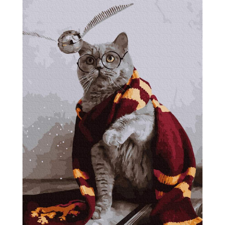 Котик ловець снітчу