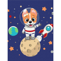 Коргі в космосі