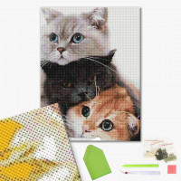 Котики-муркотіки Котики-муркотіки