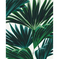 Тропіки № 2