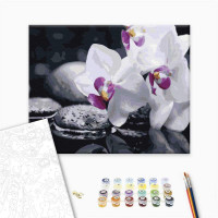 Квіти дзену Квіти дзену