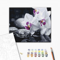 Квіти дзену Квіти дзену