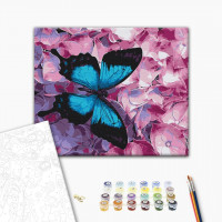 Метелик на квітах Метелик на квітах