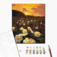 Квіти сонця Квіти сонця