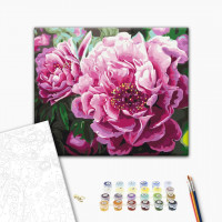 Розкішна півонія Розкішна півонія