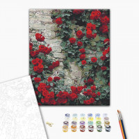 Квіти біля будинку Квіти біля будинку