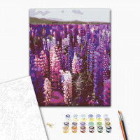 Лаванда Лаванда