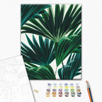 Тропіки № 2