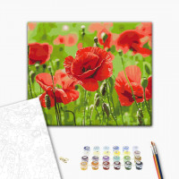 Червоні маки Червоні маки