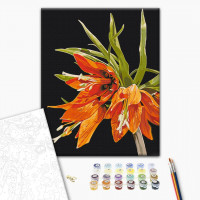 Фрітіларія © Anastasiia Osmolovska Фрітіларія © Anastasiia Osmolovska