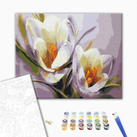 Крокуси Крокуси