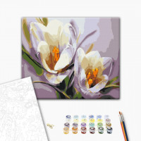 Крокуси Крокуси