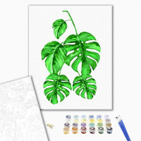 Малюнок монстери Малюнок монстери