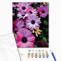 Лілові хризантеми Лілові хризантеми