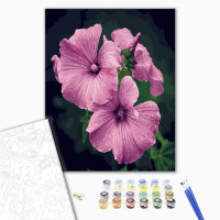 Петунії Петунії