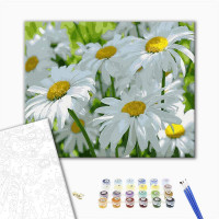 Ромашки в тіні Ромашки в тіні