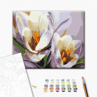 Крокуси Крокуси