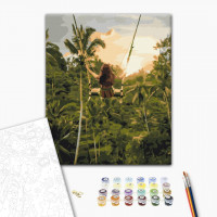 Повітряні джунглі Повітряні джунглі