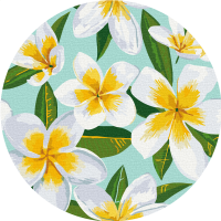 Плюмерія (Розмір M)