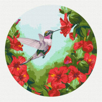 Колібрі (Розмір M)