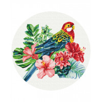 Папуга (Розмір M)