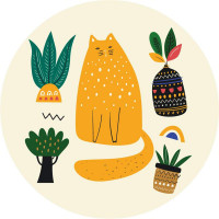 Помаранчовий мур (Розмір L)